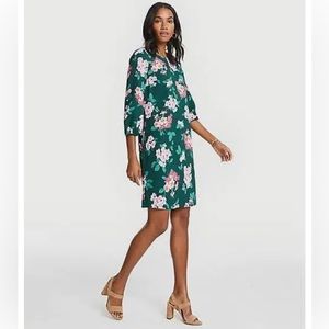 Ann Taylor Green Floral Dress